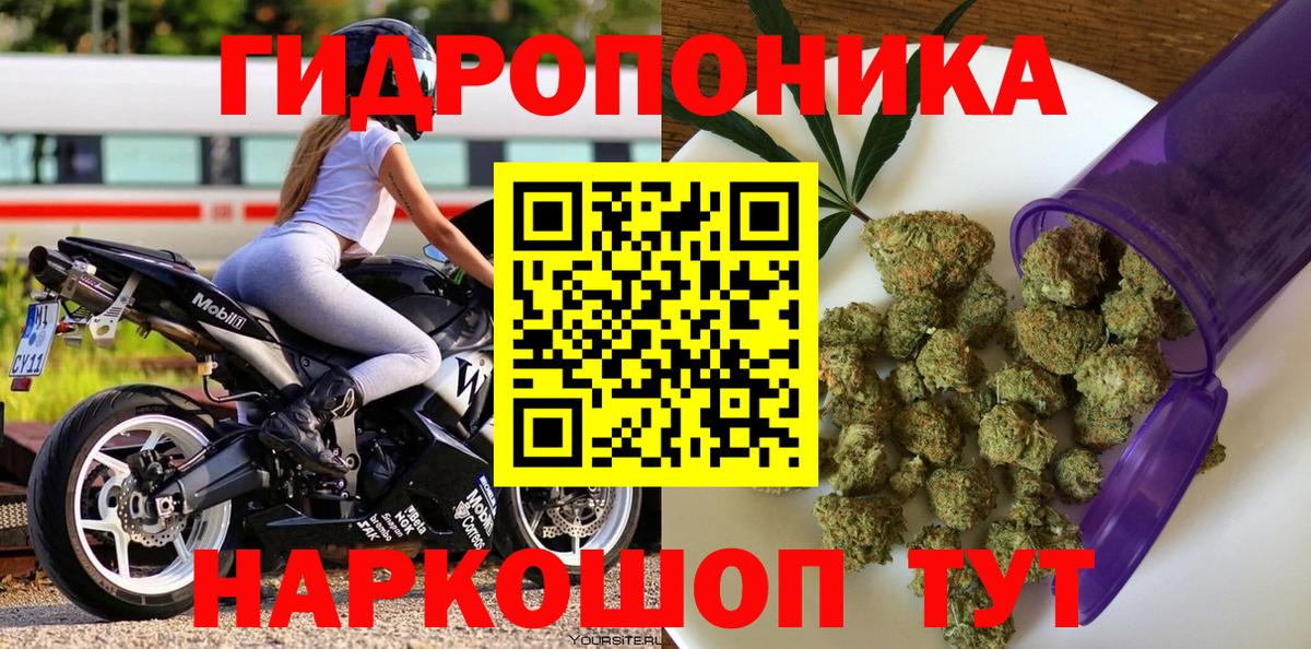 Вышний Волочёк  Каннабис AK-47  Вход с VPN  Бошки марихуана гибрид  Марихуана планчик 